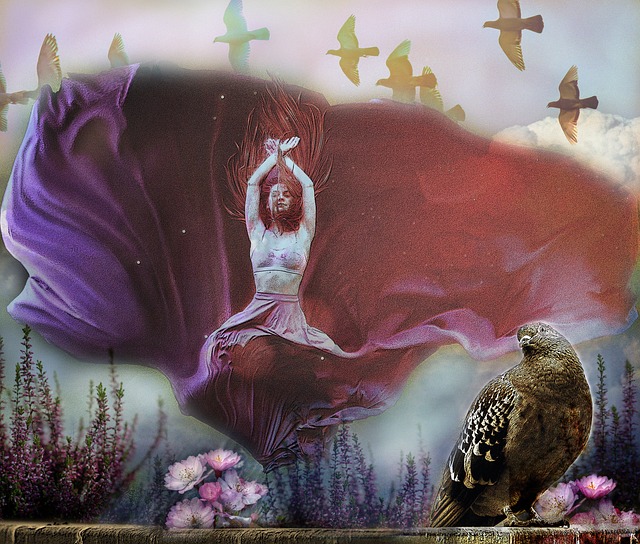 球员不仅可 球员不仅可