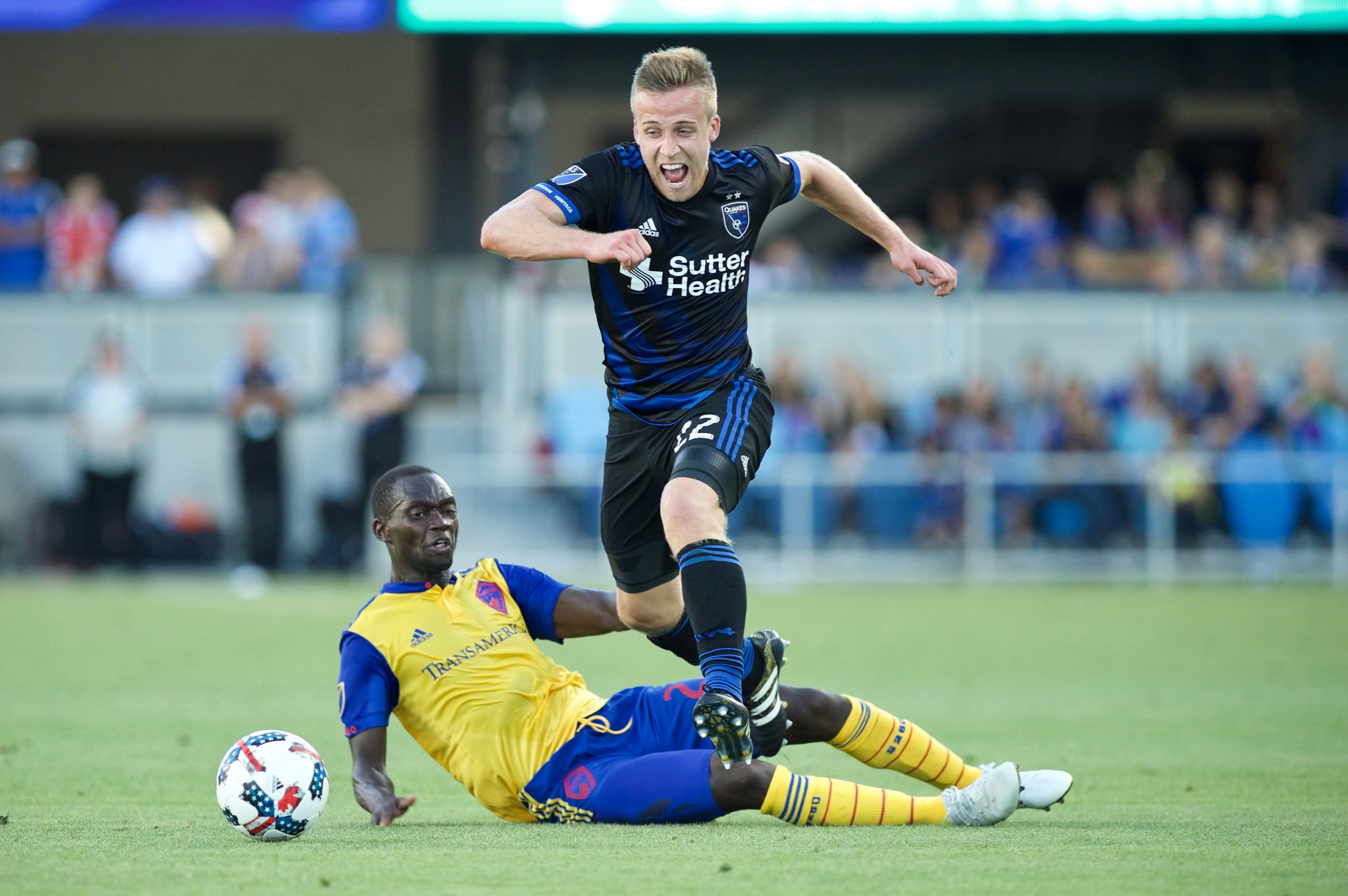 纵观特里的 纵观特里的