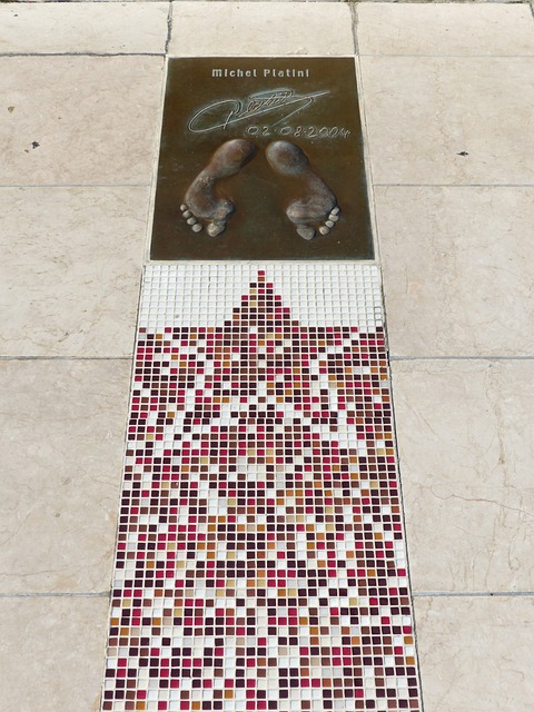 罹患严重疾 罹患严重疾