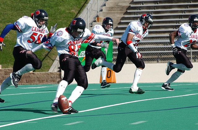 其他队伍的 其他队伍的