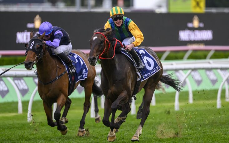 【世界看亚冬】法国专家点赞中国冰雪成就：亚冬会将助力亚洲冬季运动更上一层楼.