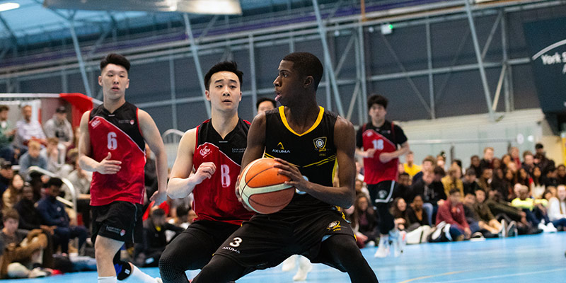 色彩的回应 色彩的回应